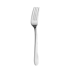 Fortis Canning Dessert Fork