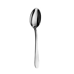 Fortis Canning Dessert Spoon