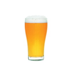 Conical Beer Glass 285ml Certified