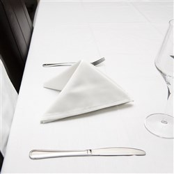 Polyester Napkin White 500x500mm 