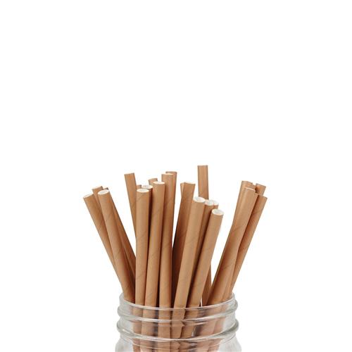 Paper Straw Kraft Regular 205mm