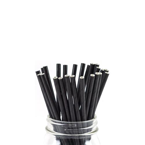 Paper Straw Black Regular 205mm