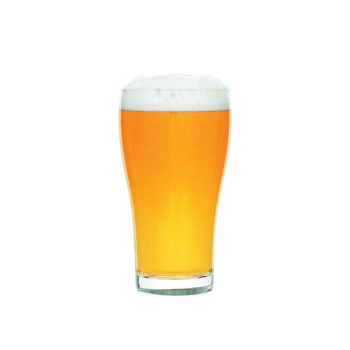 Conical Beer Glass 285ml Certified